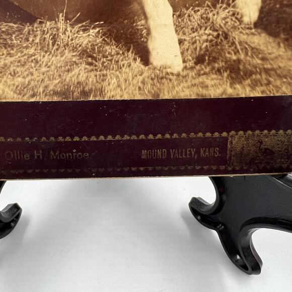 Antique Mounted Card Stock Black White Photo Child Boy Puppy 1800's Photograph - Picture 7 of 9